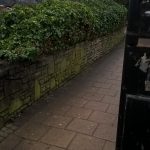 Flixton Road bushes pruned